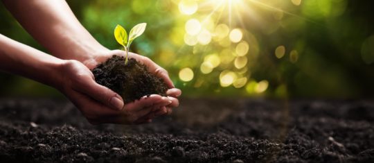 Actualités et prises de conscience sur l'écologie