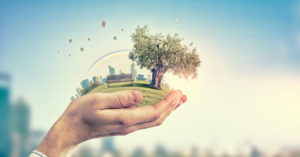 l’écologie