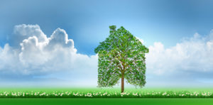 l’écologie