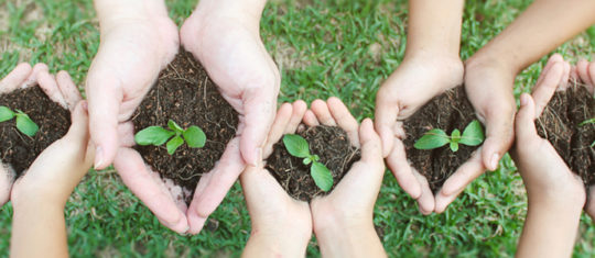 Le Master en management de l'environnemental