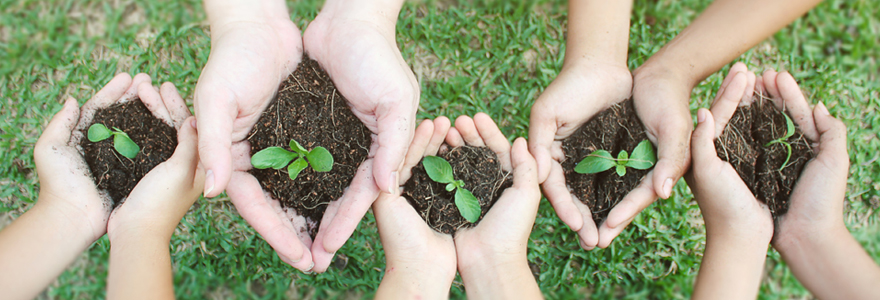 Le Master en management de l'environnemental