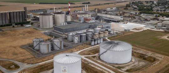 industrie sucrière
