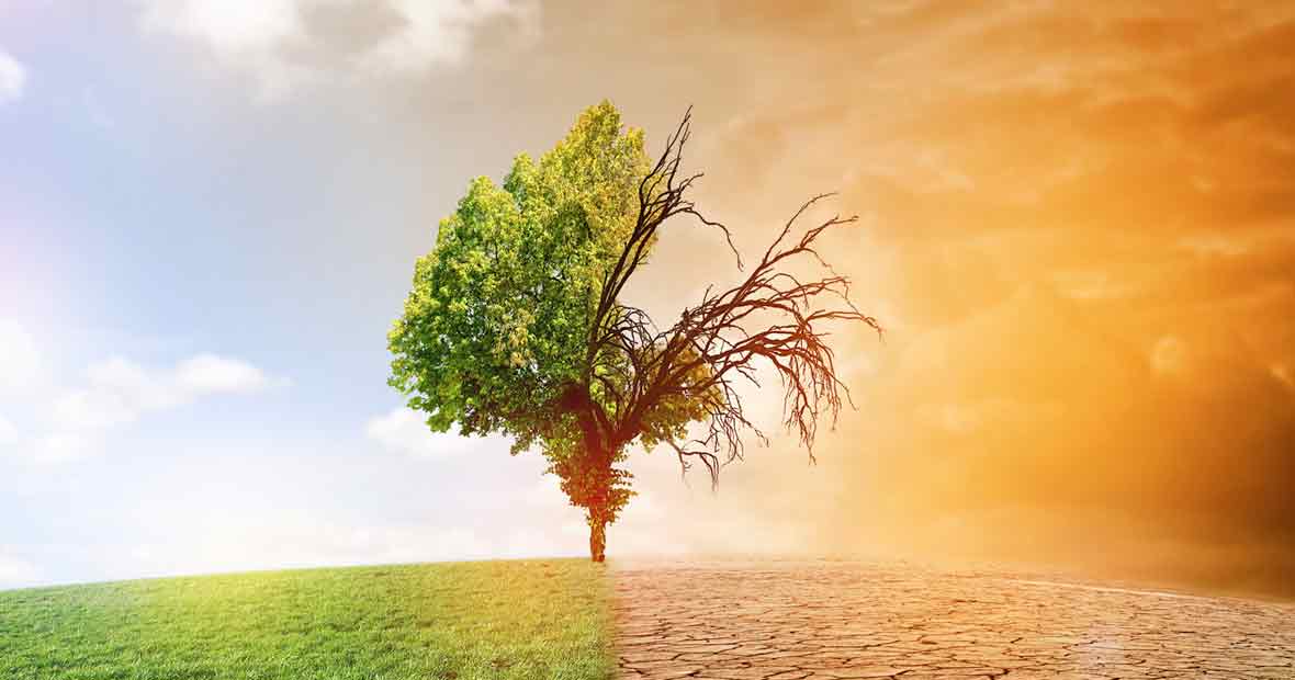 réchauffement climatique