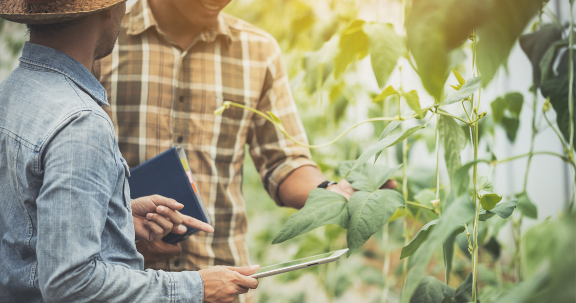 gestion agricole